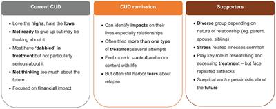 Understanding the patient and supporter journey in cocaine use disorder